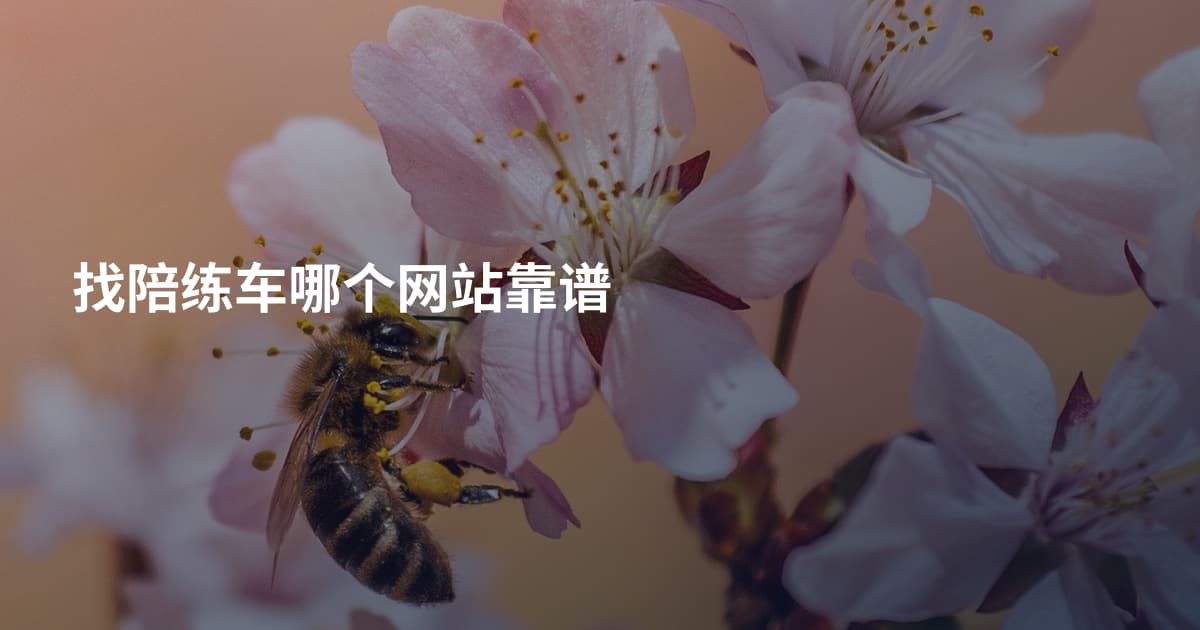 找陪练车哪个网站靠谱