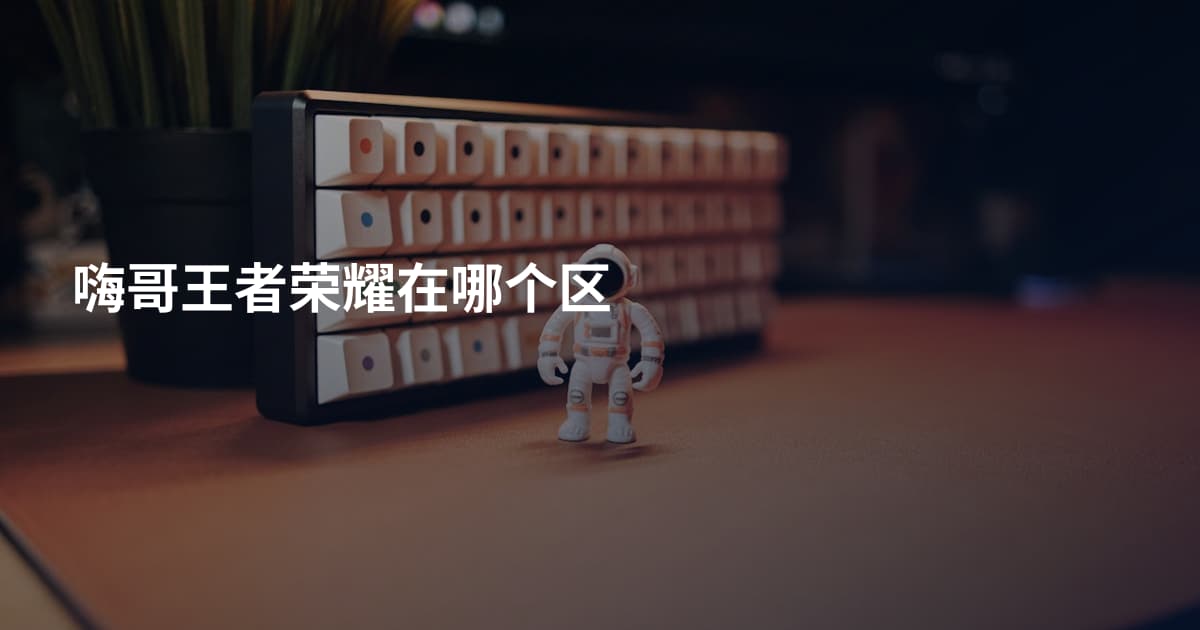 嗨哥王者荣耀在哪个区