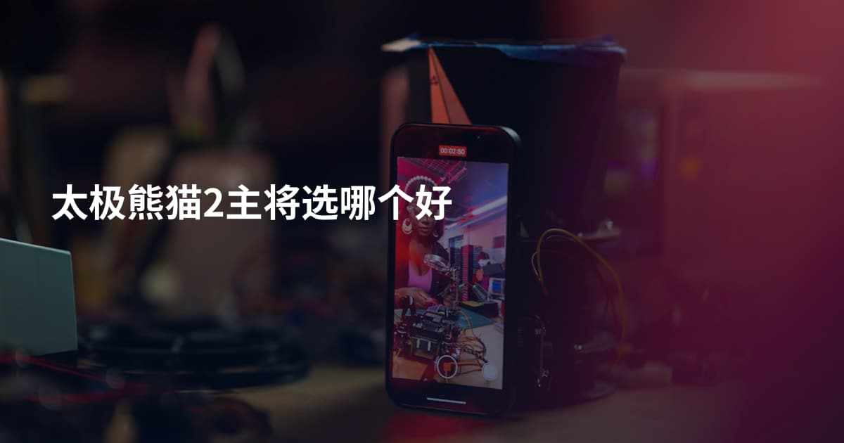 太极熊猫2主将选哪个好