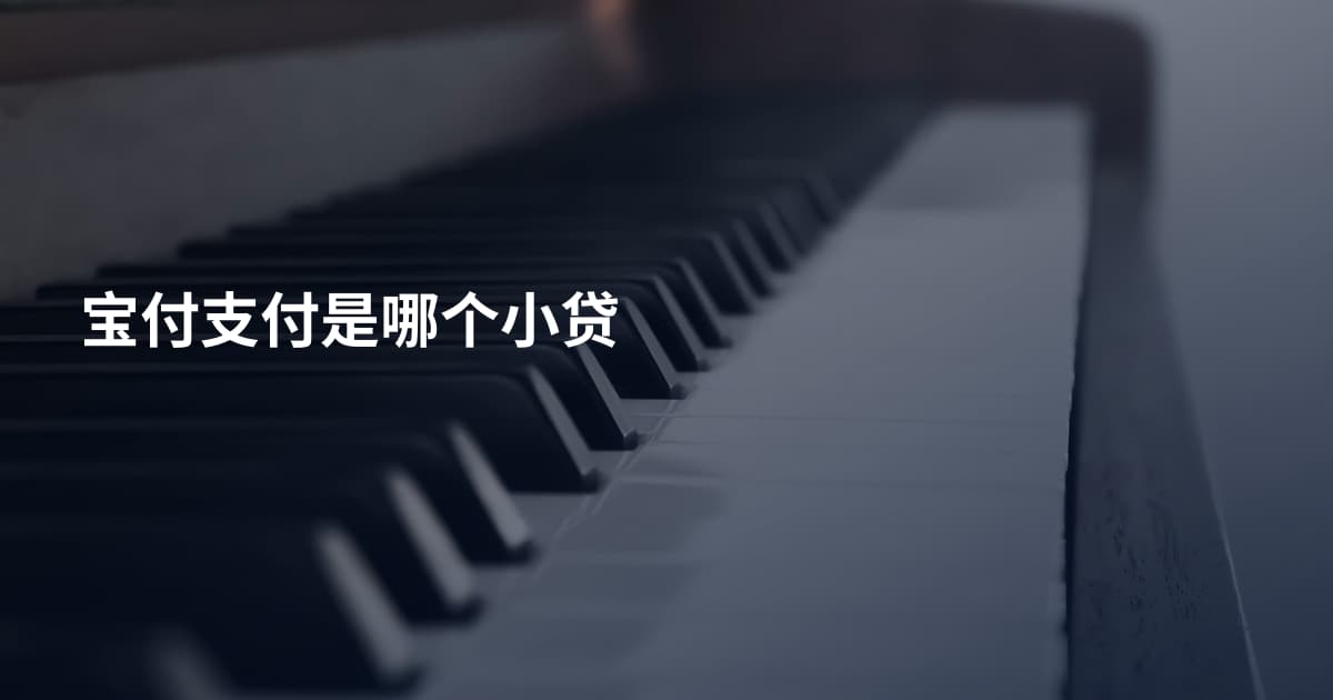 宝付支付是哪个小贷