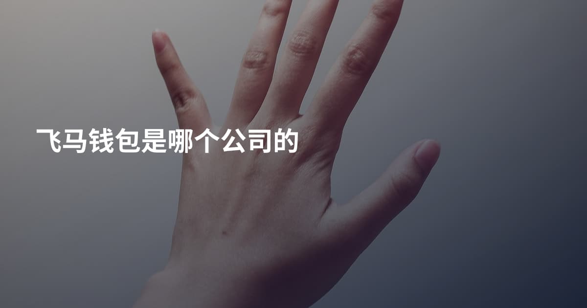 飞马钱包是哪个公司的