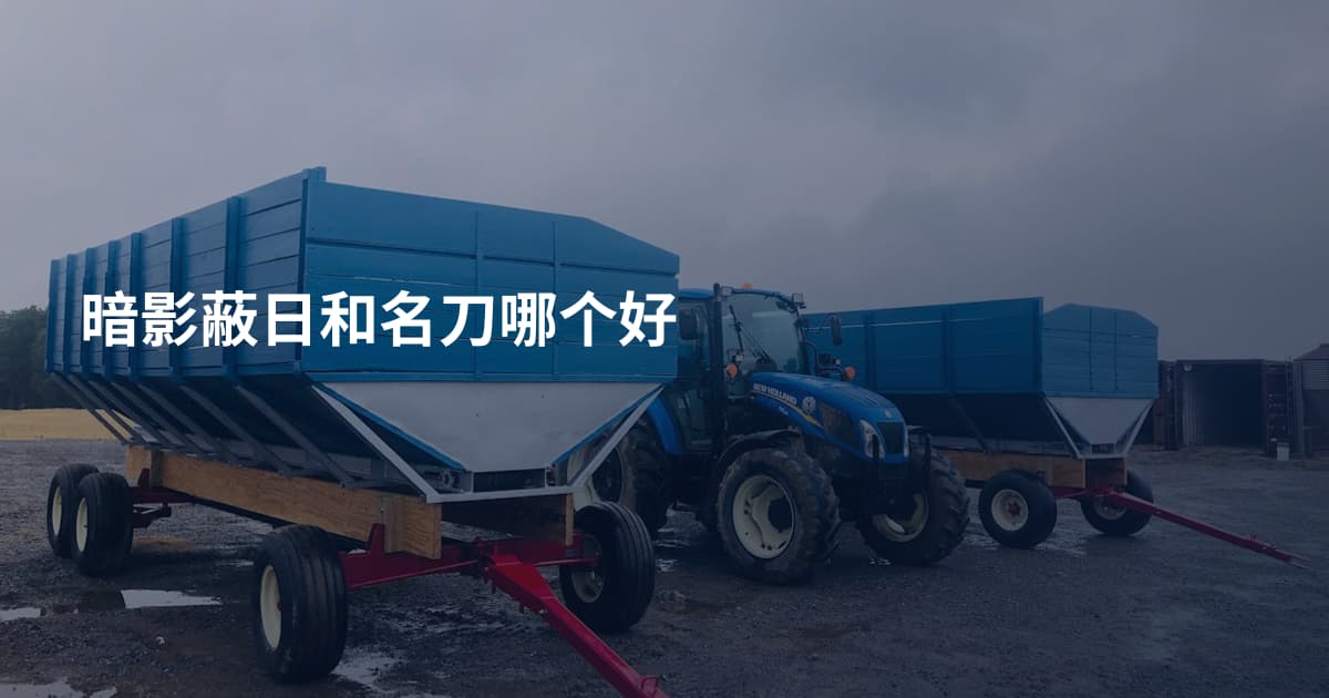 暗影蔽日和名刀哪个好