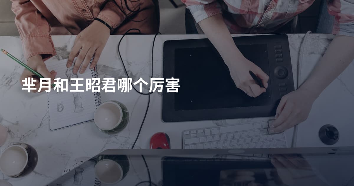 芈月和王昭君哪个厉害