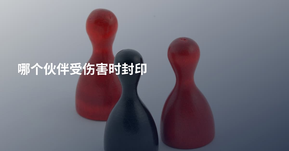 哪个伙伴受伤害时封印