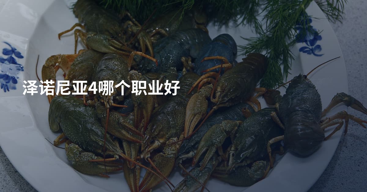 泽诺尼亚4哪个职业好