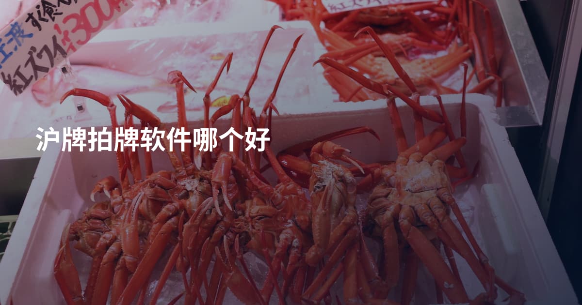 沪牌拍牌软件哪个好