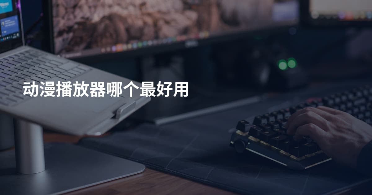 动漫播放器哪个最好用