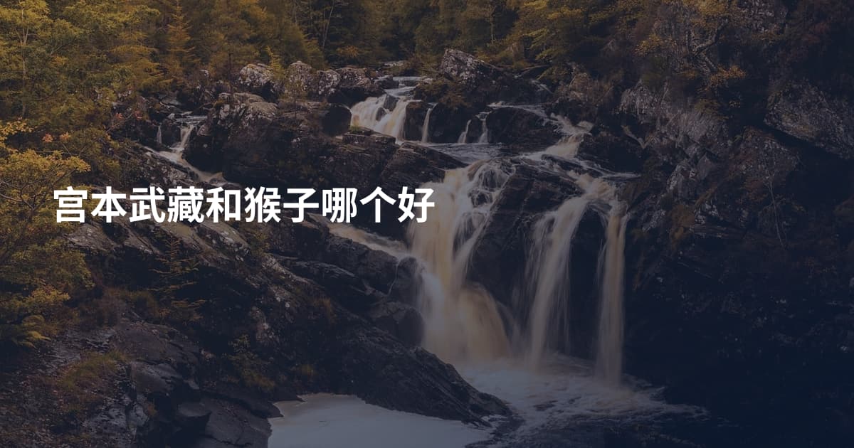 宫本武藏和猴子哪个好