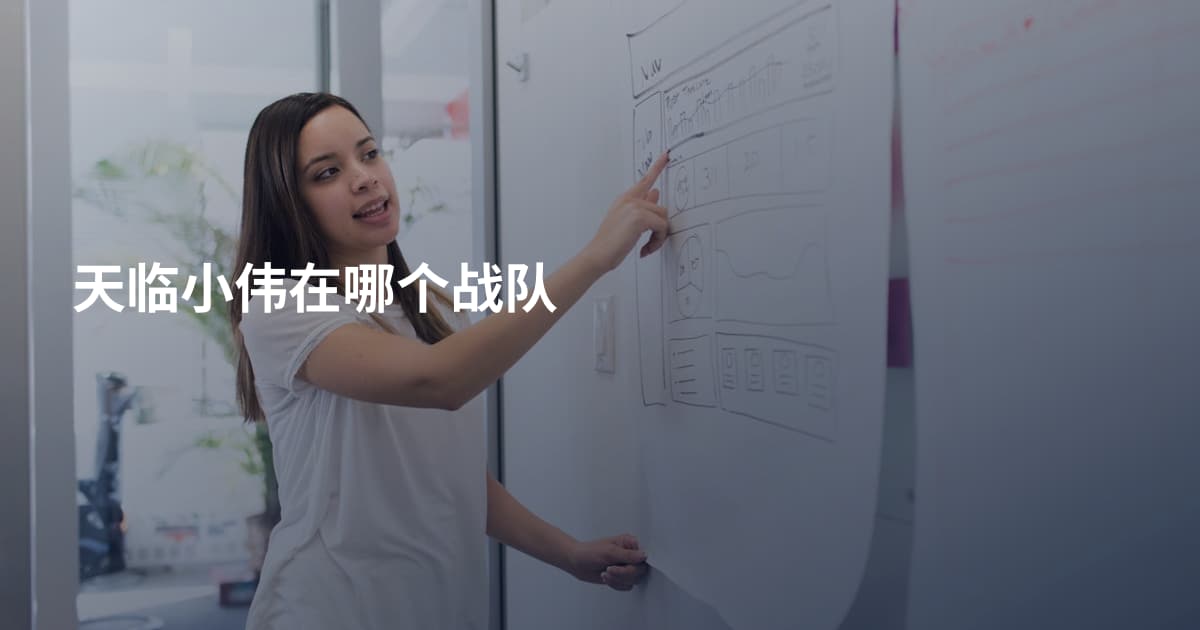 天临小伟在哪个战队