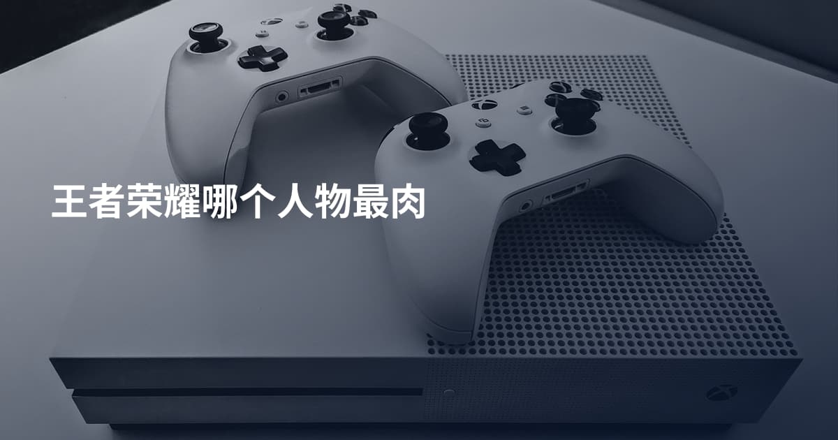 王者荣耀哪个人物最肉