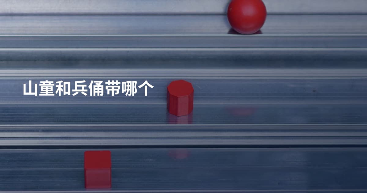 山童和兵俑带哪个