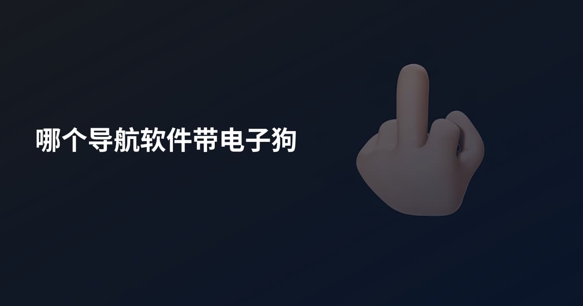 哪个导航软件带电子狗