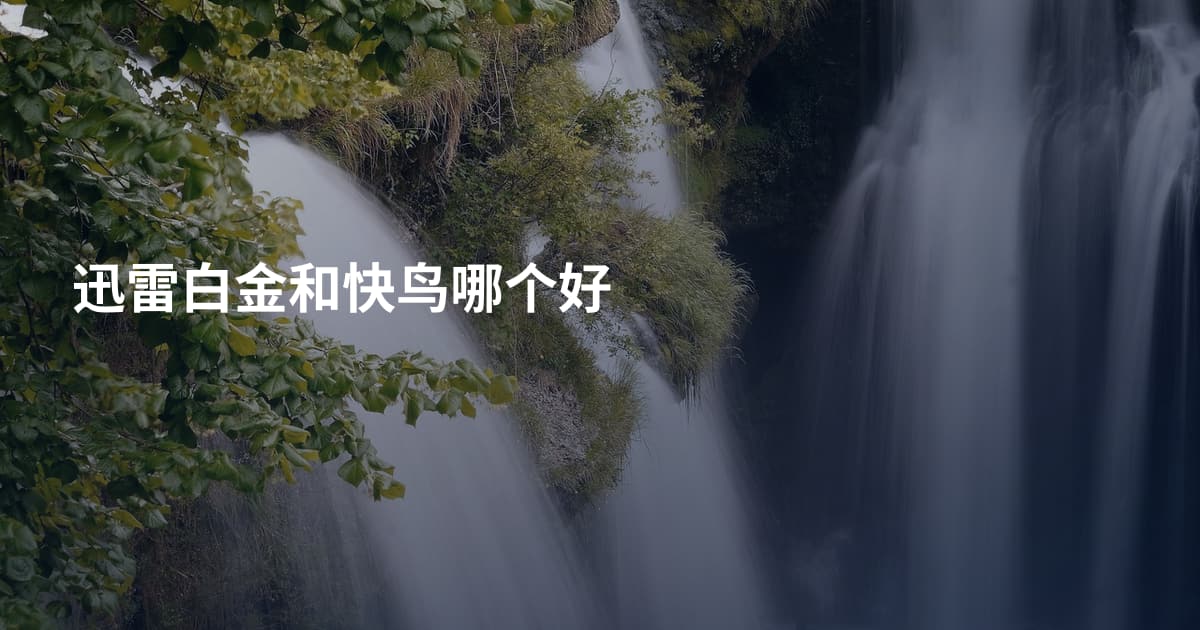 迅雷白金和快鸟哪个好