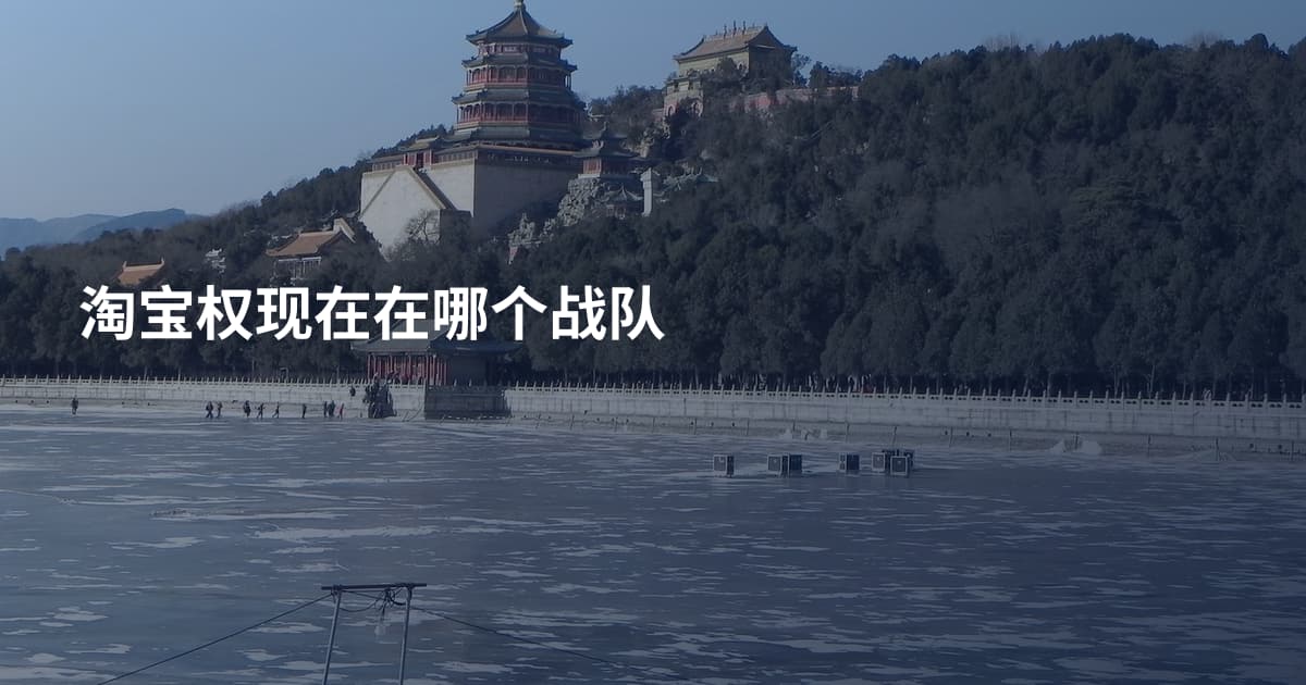 淘宝权现在在哪个战队
