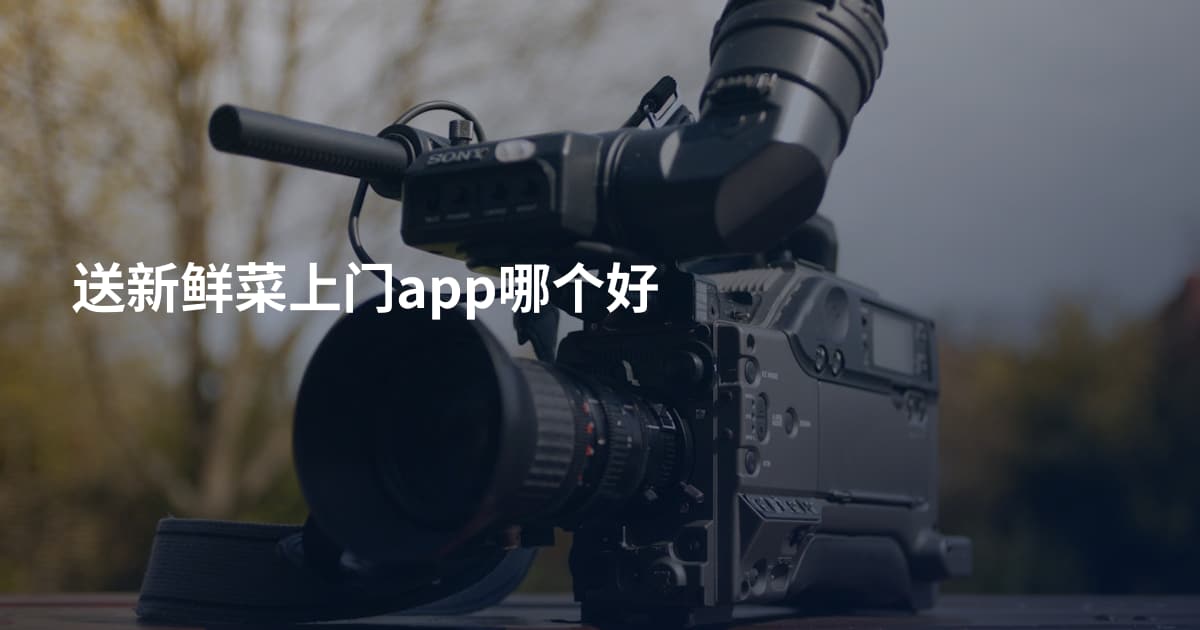 送新鲜菜上门app哪个好