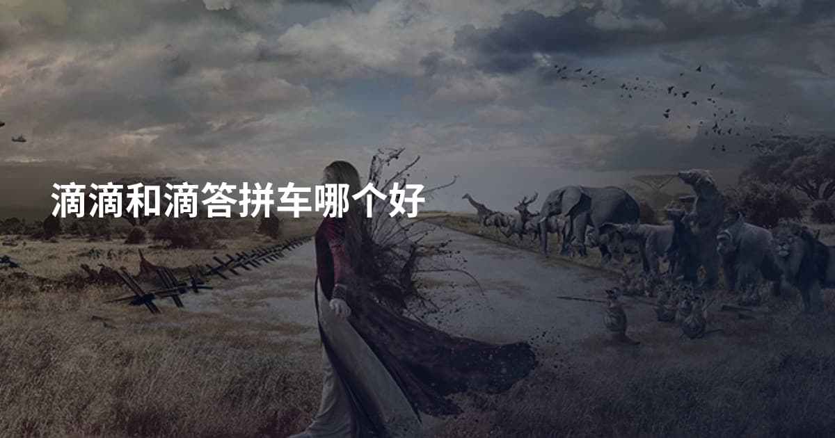 滴滴和滴答拼车哪个好