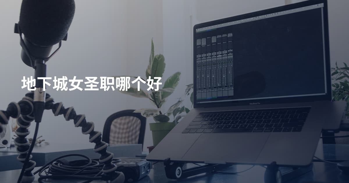 地下城女圣职哪个好