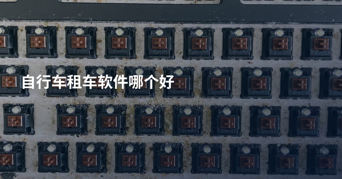 自行车租车软件哪个好
