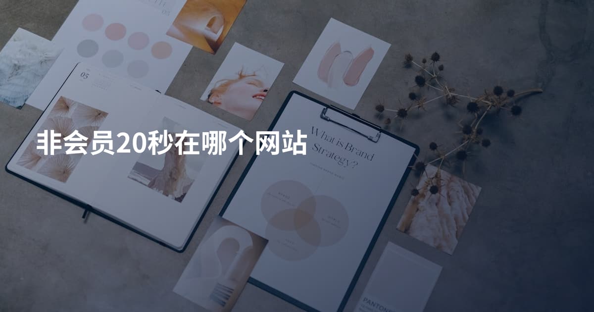 非会员20秒在哪个网站