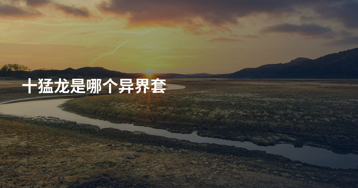 十猛龙是哪个异界套