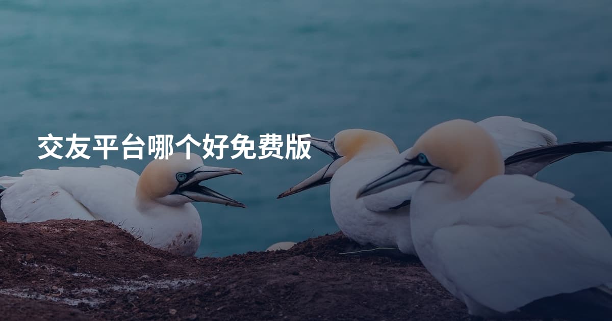 交友平台哪个好免费版