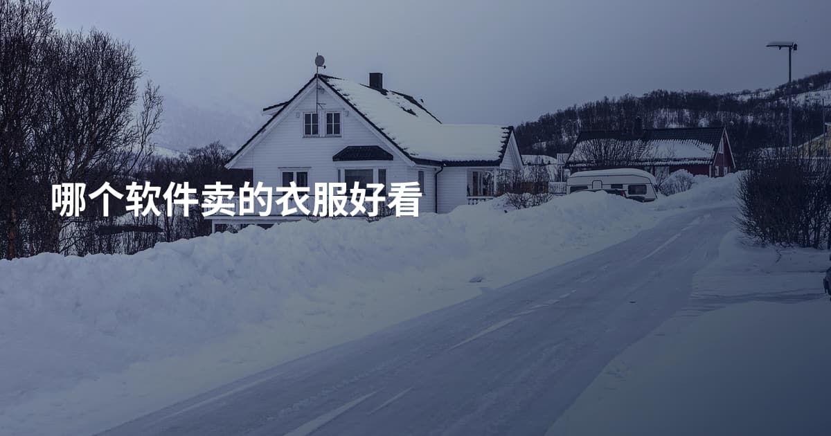 哪个软件卖的衣服好看