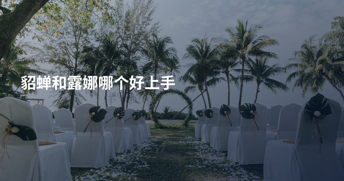 貂蝉和露娜哪个好上手