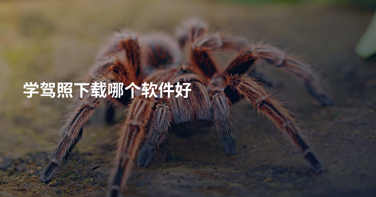 学驾照下载哪个软件好