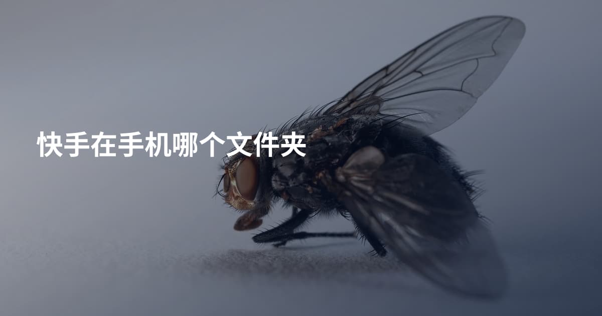 快手在手机哪个文件夹