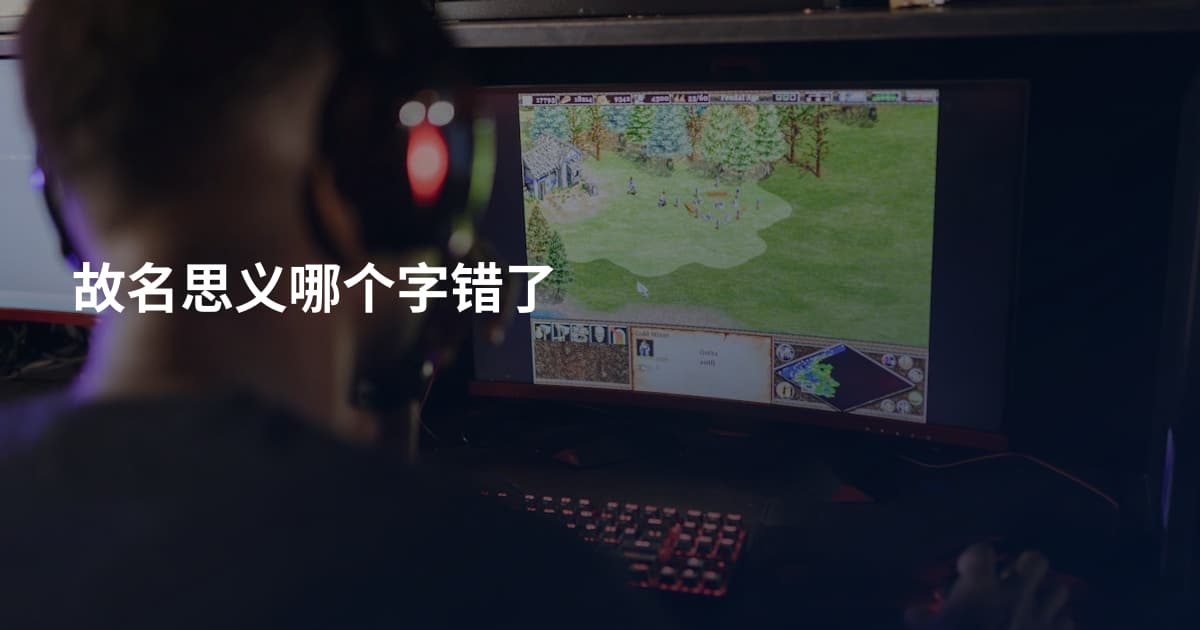 故名思义哪个字错了