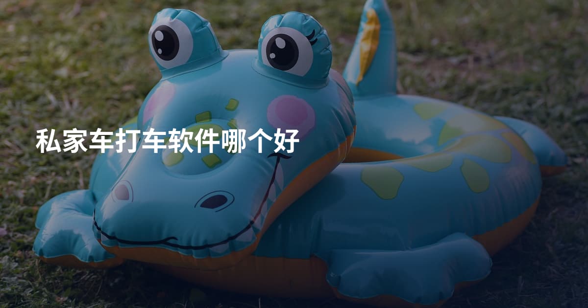 私家车打车软件哪个好