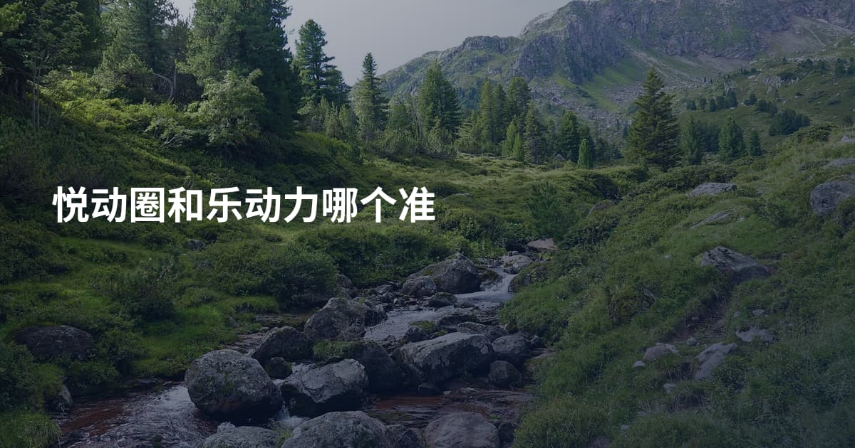 悦动圈和乐动力哪个准