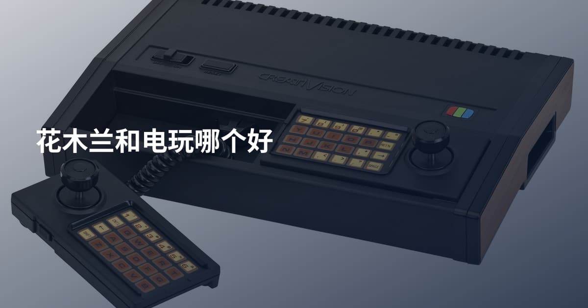 花木兰和电玩哪个好