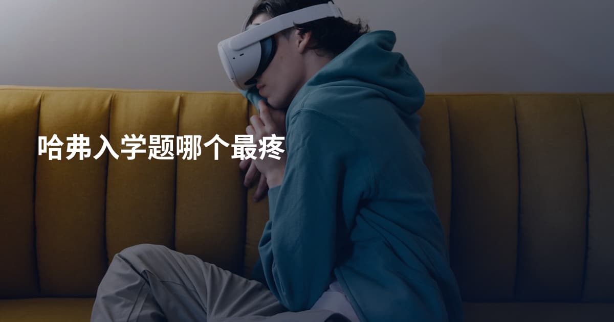 哈弗入学题哪个最疼
