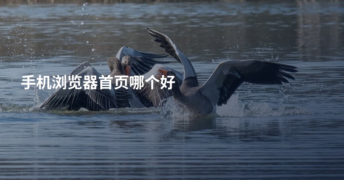 手机浏览器首页哪个好