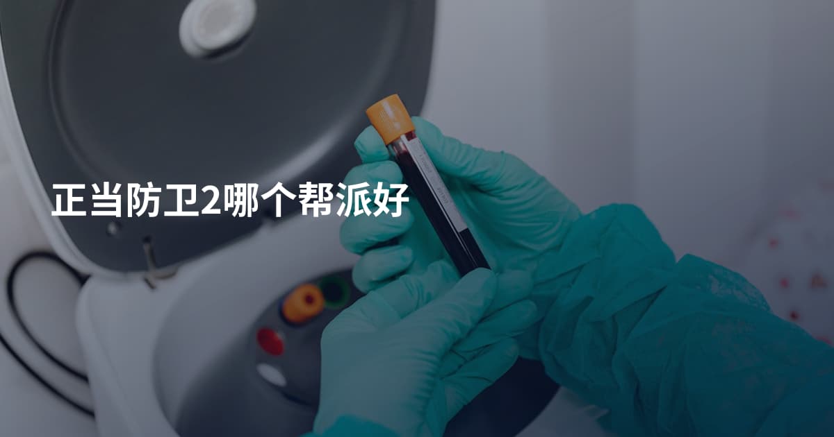 正当防卫2哪个帮派好