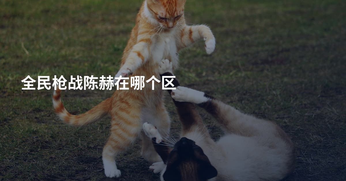 全民枪战陈赫在哪个区