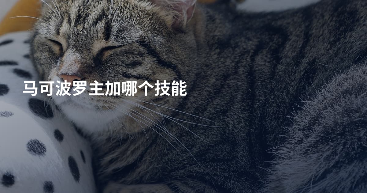 马可波罗主加哪个技能