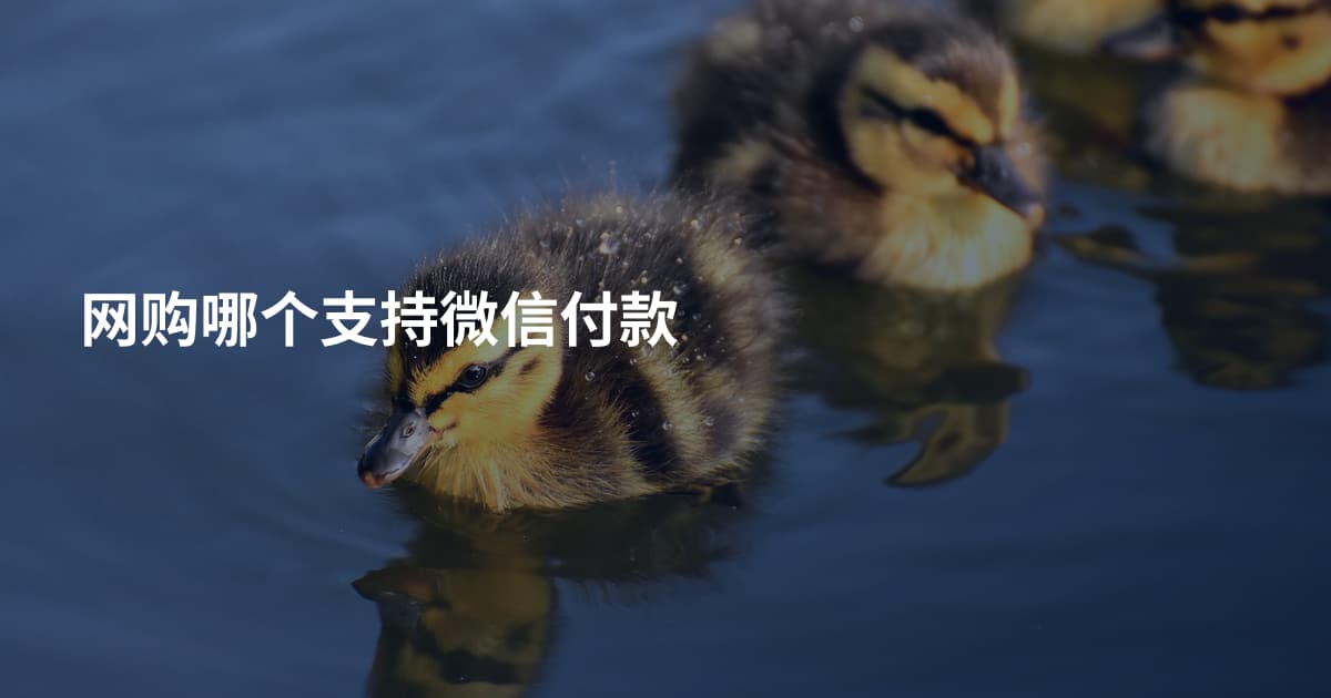 网购哪个支持微信付款