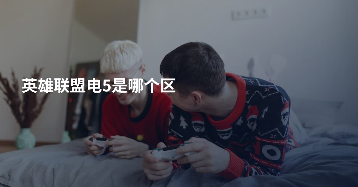 英雄联盟电5是哪个区
