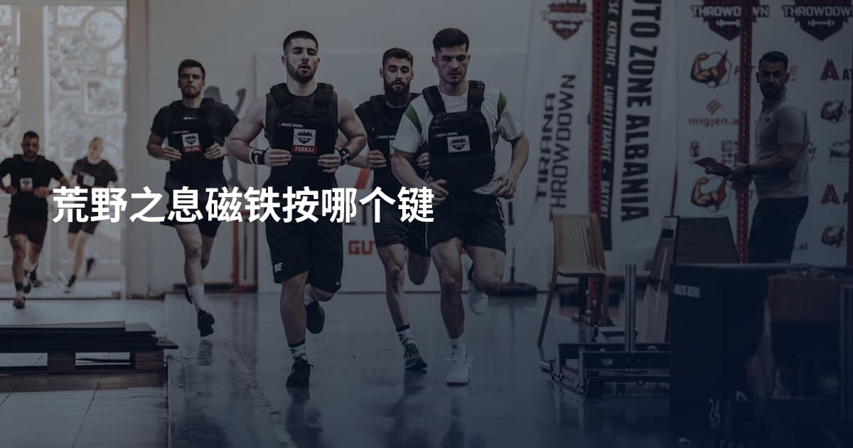 荒野之息磁铁按哪个键