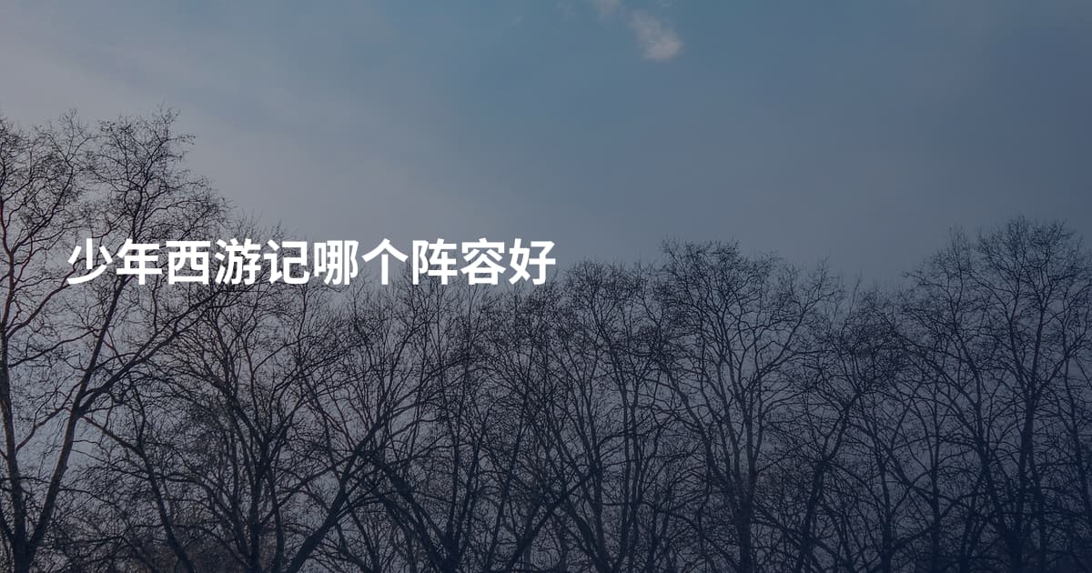 少年西游记哪个阵容好