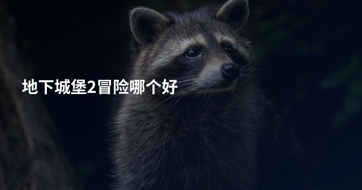 地下城堡2冒险哪个好