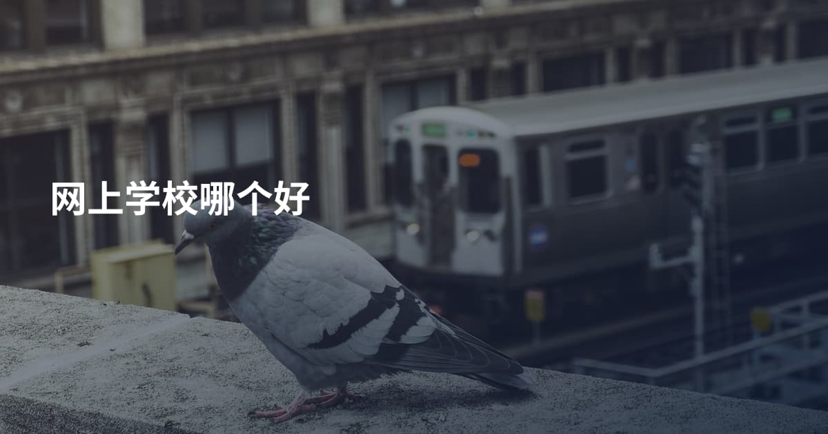 网上学校哪个好