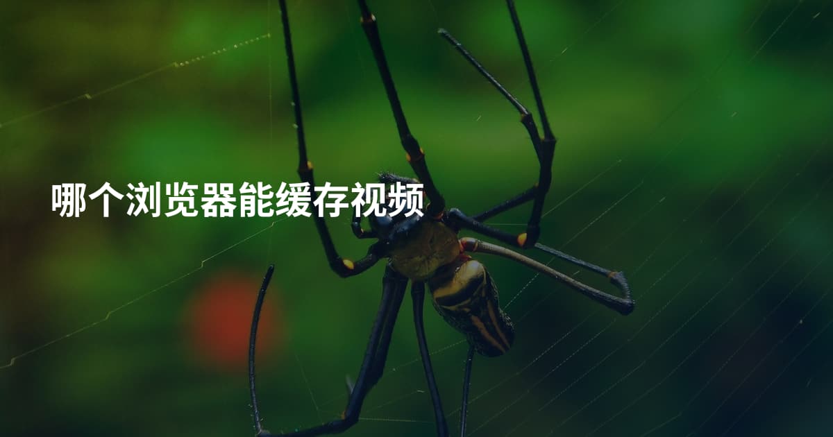 哪个浏览器能缓存视频