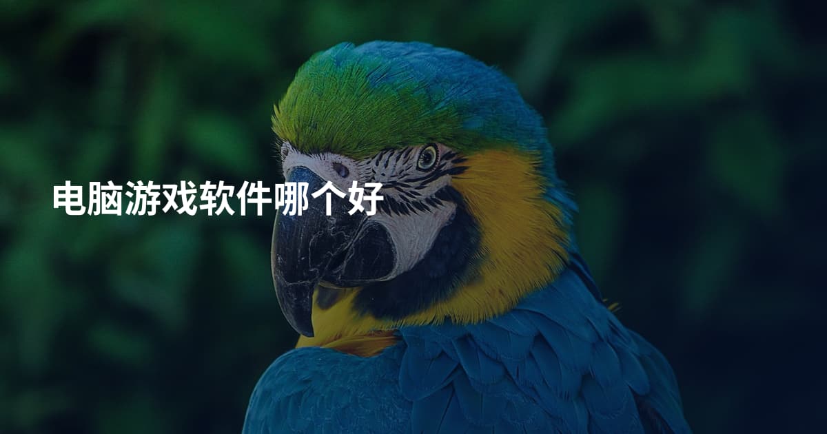电脑游戏软件哪个好