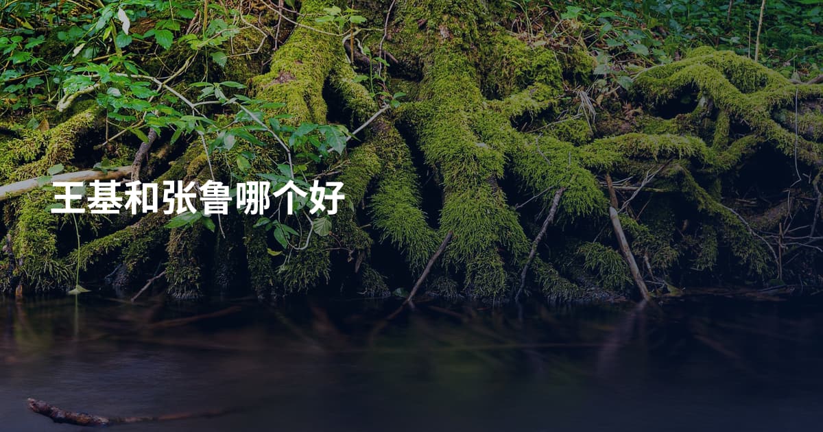 王基和张鲁哪个好