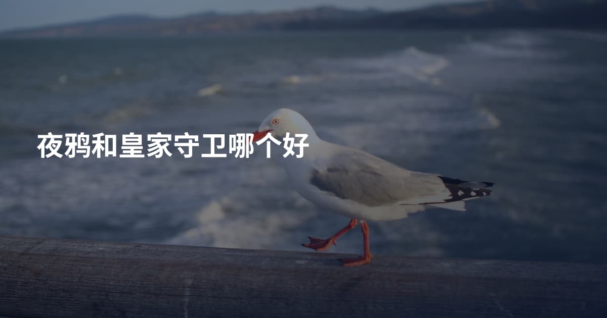 夜鸦和皇家守卫哪个好