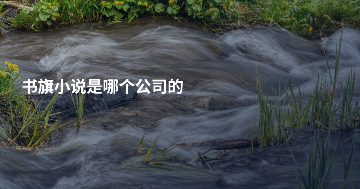 书旗小说是哪个公司的