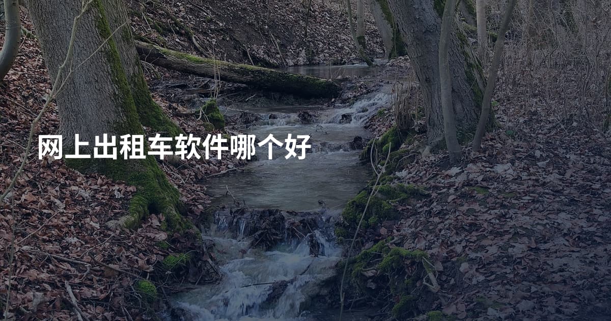网上出租车软件哪个好